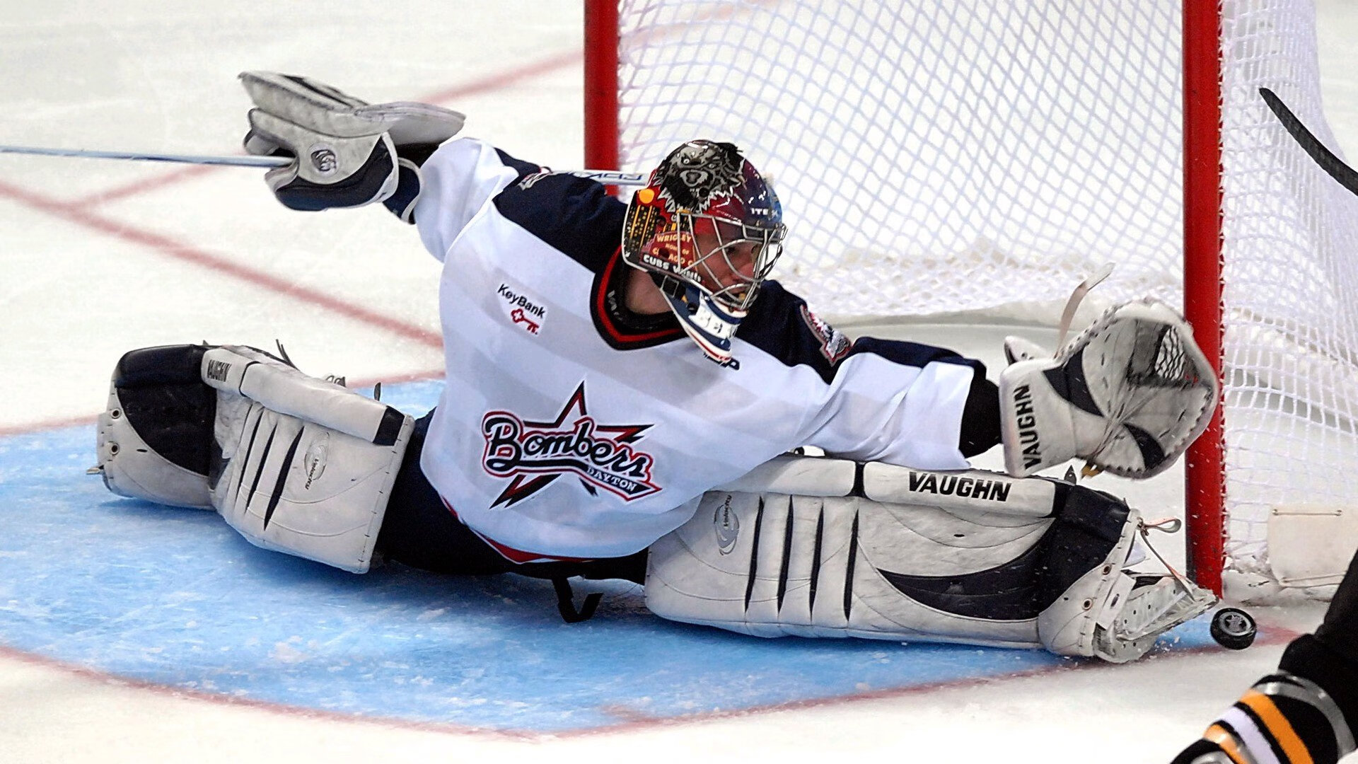 爱游戏体育APP下载-“美洲狮队奋勇拼搏,征战橄榄球冠军锦标赛”