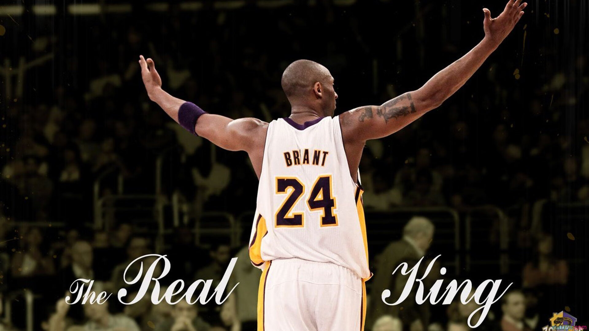 爱游戏app-“彼得森的非凡表现助南非羚羊队破纪录创佳绩”